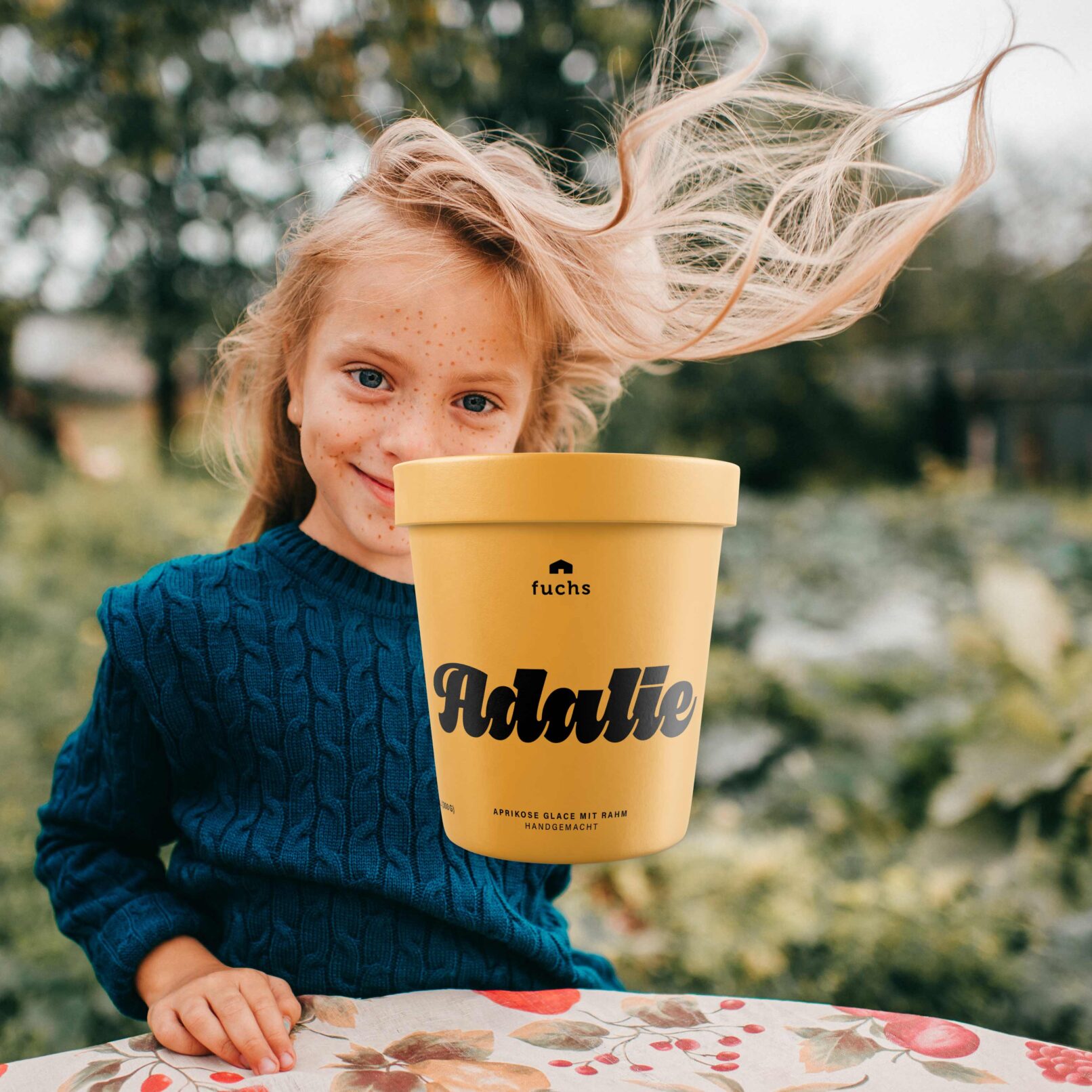 sade.ch grafikstudio