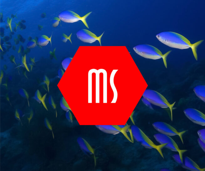 sade.ch grafikstudio