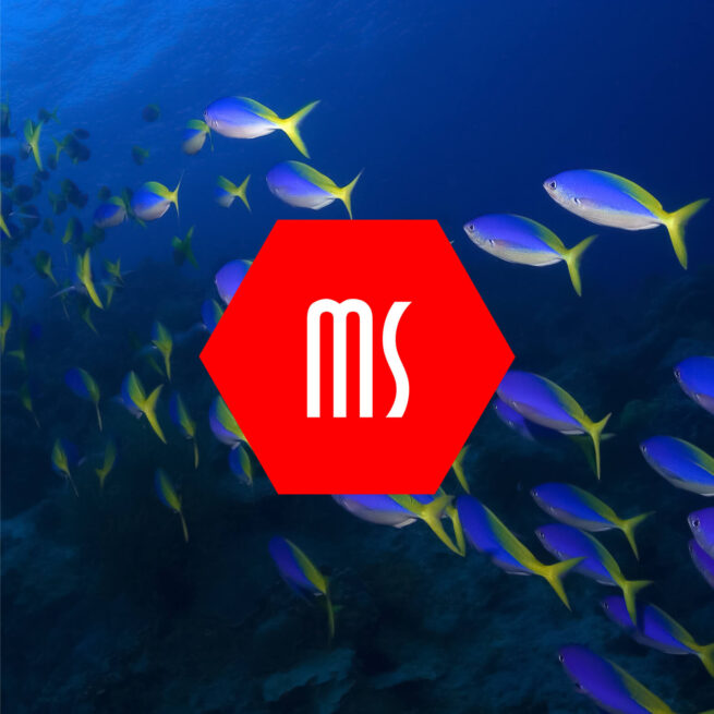 sade.ch grafikstudio