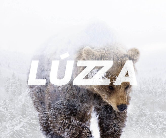 sade.ch grafikstudio